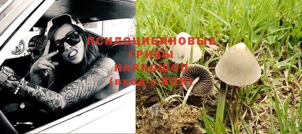 МДПВ Куйбышев