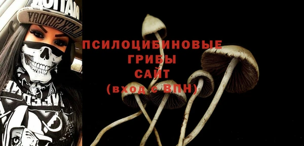 дживик Кукмор