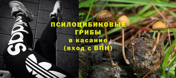 дживик Кукмор